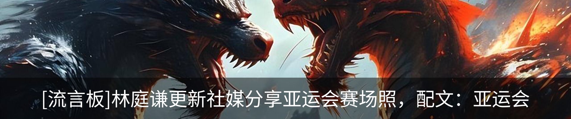 最新动态